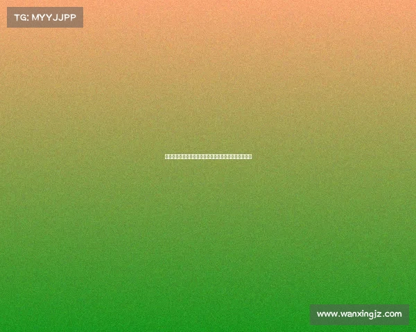 深度盘点中国足球赛事大全职业联赛与业余锦标赛全解析